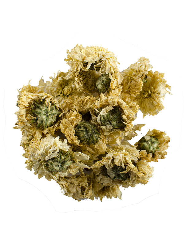 Herbs Chrysanthemum Tea Tisane